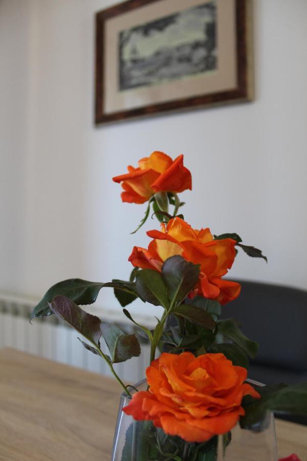 Apartment Dekovic Poreč Kültér fotó