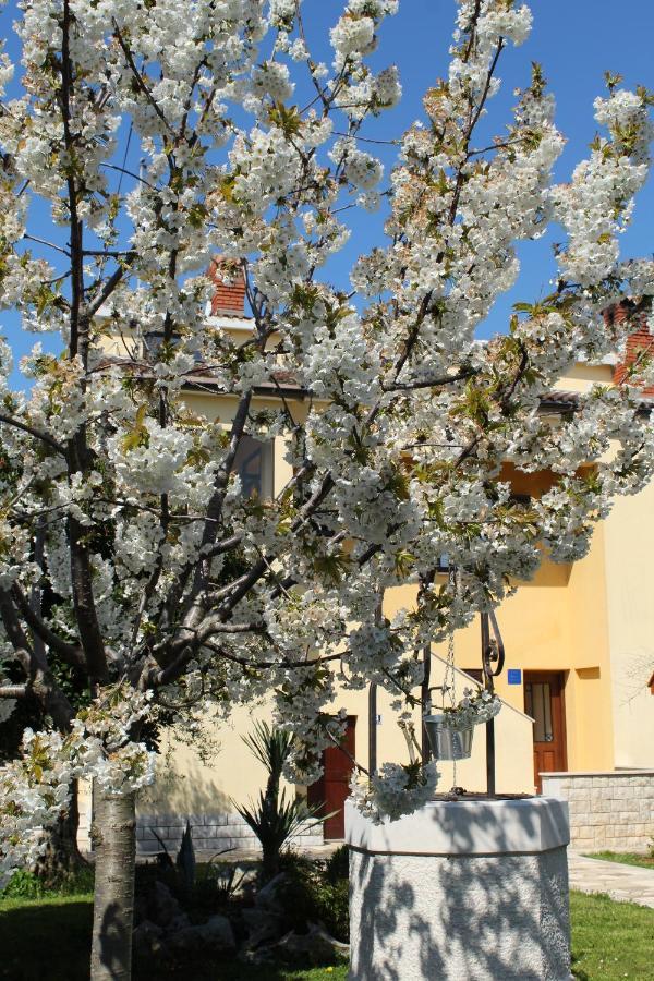 Apartment Dekovic Poreč Kültér fotó